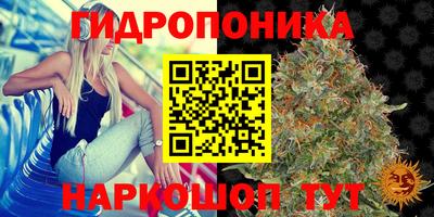 крисы Бугуруслан
