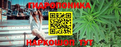 дурь Балахна