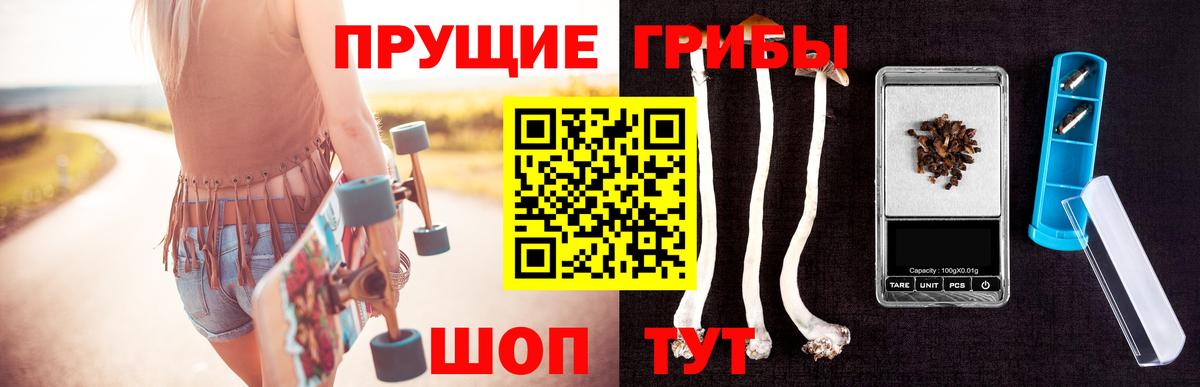 Галлюциногенные грибы прущие грибы Елец